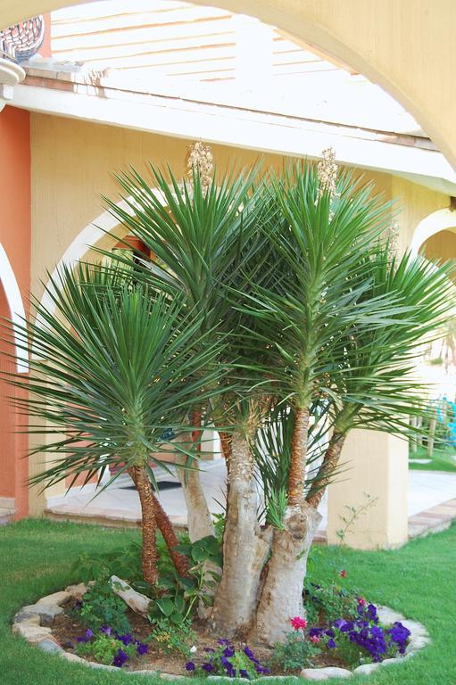 Aparthotel I Lentischi *